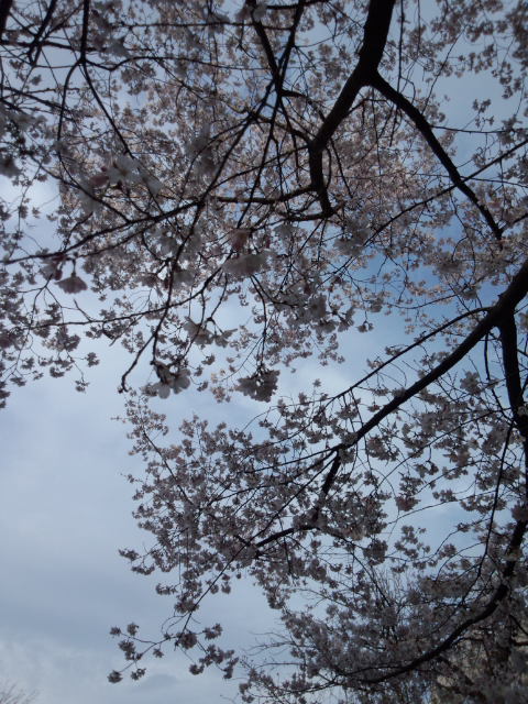 ��Ȃ̂Ԃ₫�B