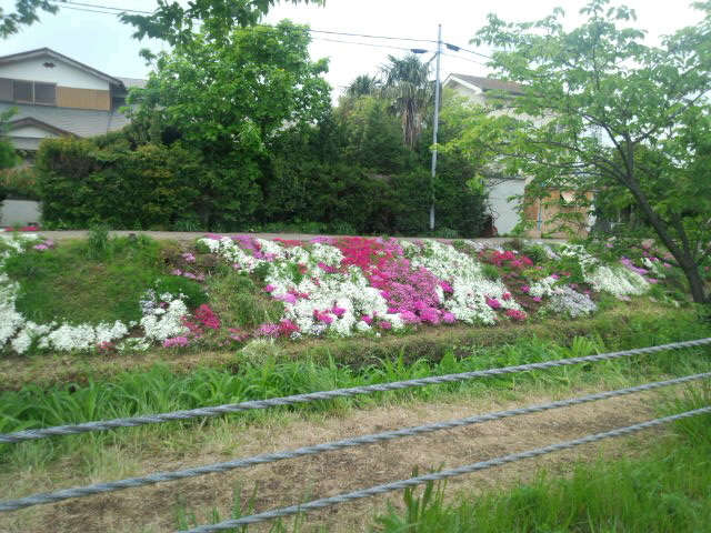 ��Ȃ̂Ԃ₫�B