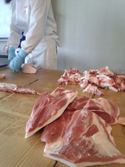 ��Ȃ̂Ԃ₫�B