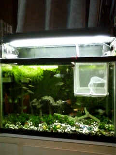 ��Ȃ̂Ԃ₫�B