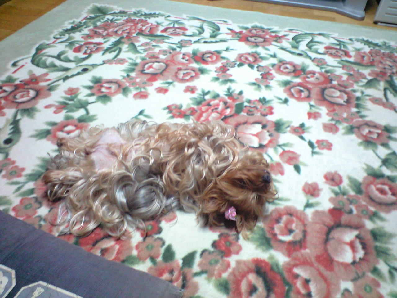 ��Ȃ̂Ԃ₫�B