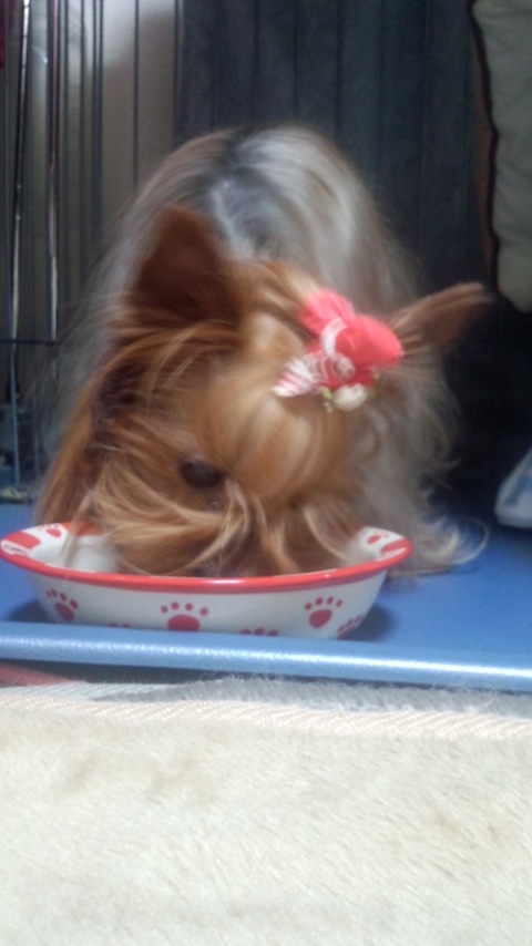 ��Ȃ̂Ԃ₫�B