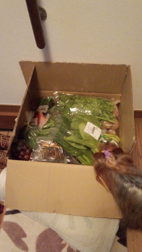 ��Ȃ̂Ԃ₫�B