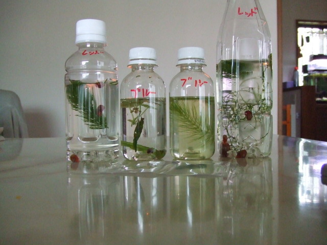 ��Ȃ̂Ԃ₫�B