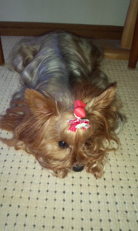 ��Ȃ̂Ԃ₫�B