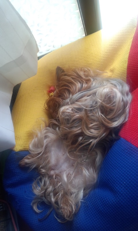 ��Ȃ̂Ԃ₫�B