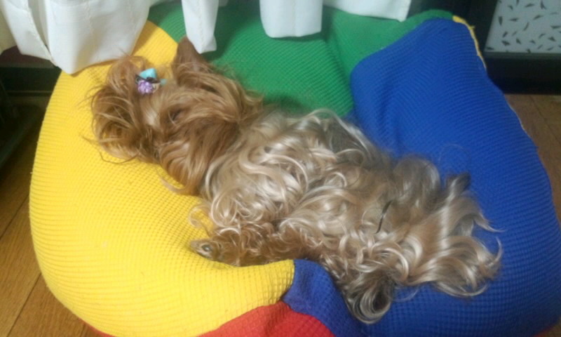 ��Ȃ̂Ԃ₫�B