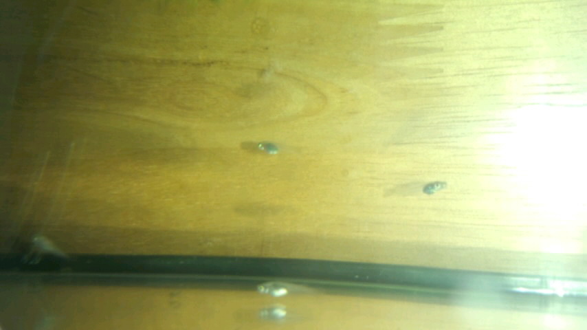 ��Ȃ̂Ԃ₫�B