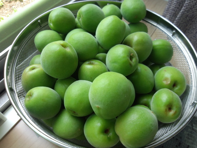 ��Ȃ̂Ԃ₫�B