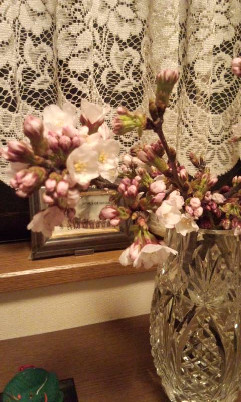 ��Ȃ̂Ԃ₫�B