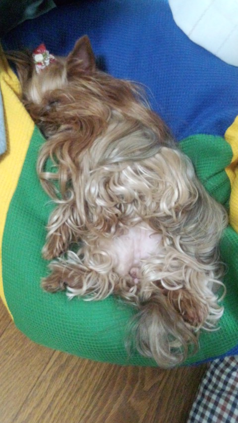 ��Ȃ̂Ԃ₫�B