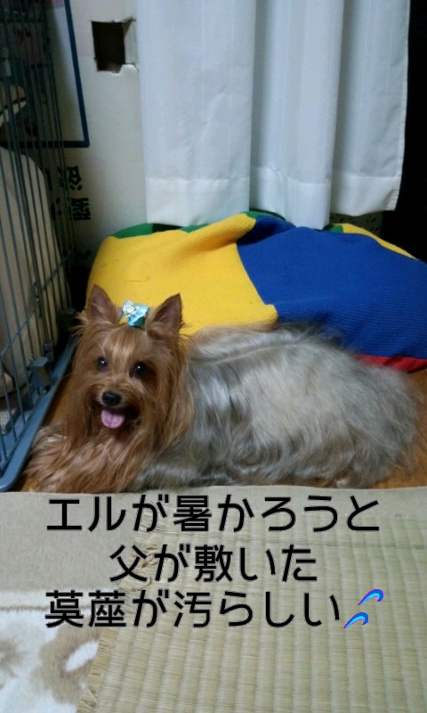 ��Ȃ̂Ԃ₫�B