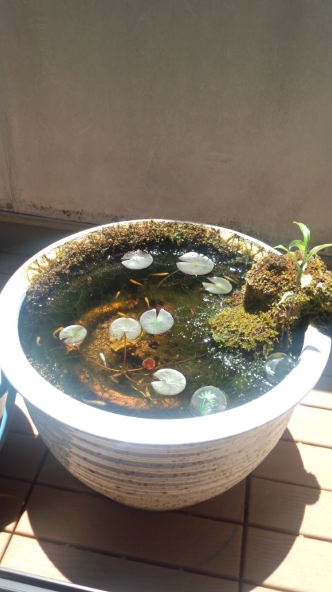 ��Ȃ̂Ԃ₫�B