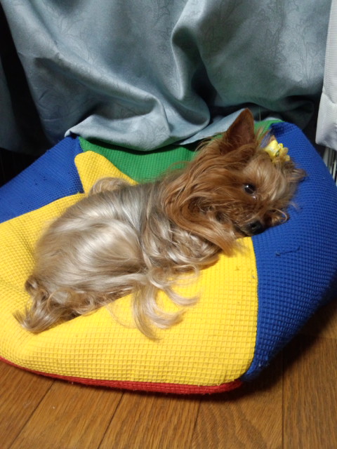 ��Ȃ̂Ԃ₫�B