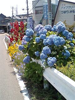 ��Ȃ̂Ԃ₫�B