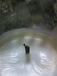 ��Ȃ̂Ԃ₫�B