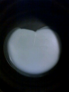 ��Ȃ̂Ԃ₫�B