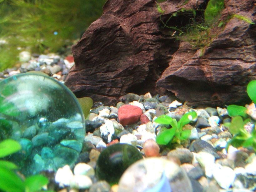 ��Ȃ̂Ԃ₫�B