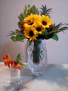 ��Ȃ̂Ԃ₫�B