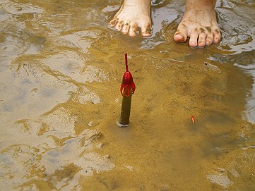 �x�W�^�u���O�����Ȕӂ��͂���L