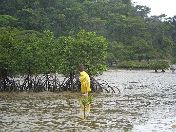 �x�W�^�u���O�����Ȕӂ��͂���L