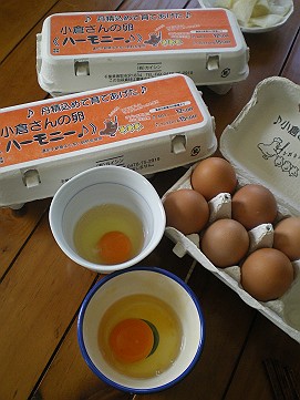 �x�W�^�u���O�����Ȕӂ��͂���L