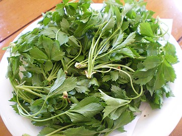 �x�W�^�u���O�����Ȕӂ��͂���L