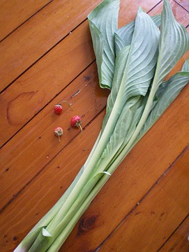 �x�W�^�u���O�����Ȕӂ��͂���L