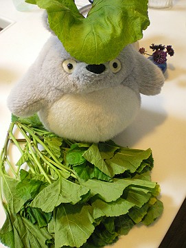 �x�W�^�u���O�����Ȕӂ��͂���L