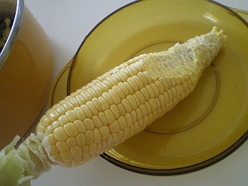 �x�W�^�u���O�����Ȕӂ��͂���L