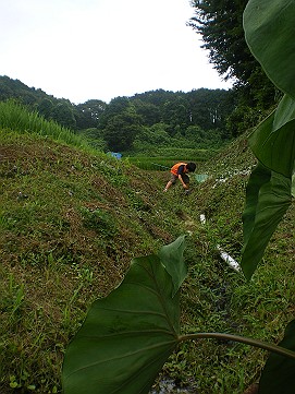 �x�W�^�u���O�����Ȕӂ��͂���L