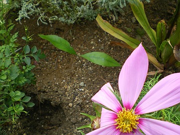 �x�W�^�u���O�����Ȕӂ��͂���L