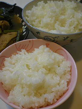 �x�W�^�u���O�����Ȕӂ��͂���L