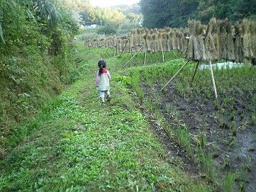 �x�W�^�u���O�����Ȕӂ��͂���L