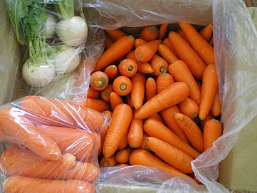 �x�W�^�u���O�����Ȕӂ��͂���L