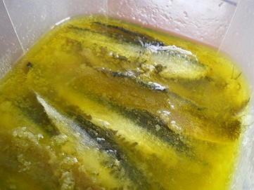 �x�W�^�u���O�����Ȕӂ��͂���L