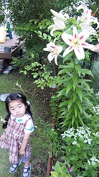 �x�W�^�u���O�����Ȕӂ��͂���L