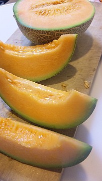 �x�W�^�u���O�����Ȕӂ��͂���L