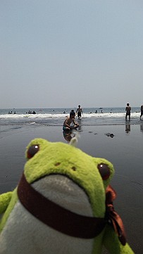 �x�W�^�u���O�����Ȕӂ��͂���L