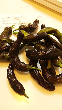 �x�W�^�u���O�����Ȕӂ��͂���L