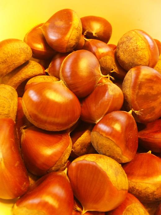 �x�W�^�u���O�����Ȕӂ��͂���L