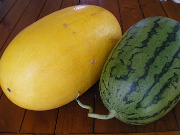 �x�W�^�u���O�����Ȕӂ��͂���L