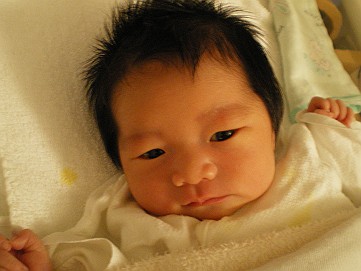 �x�W�^�u���O�����Ȕӂ��͂���L