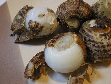 �x�W�^�u���O�����Ȕӂ��͂���L