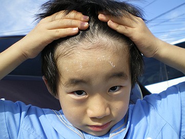 �x�W�^�u���O�����Ȕӂ��͂���L