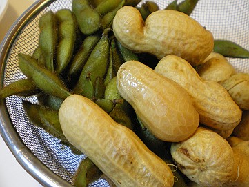 �x�W�^�u���O�����Ȕӂ��͂���L