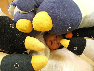 �x�W�^�u���O�����Ȕӂ��͂���L