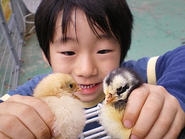 �x�W�^�u���O�����Ȕӂ��͂���L