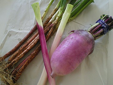 �x�W�^�u���O�����Ȕӂ��͂���L