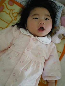 �x�W�^�u���O�����Ȕӂ��͂���L